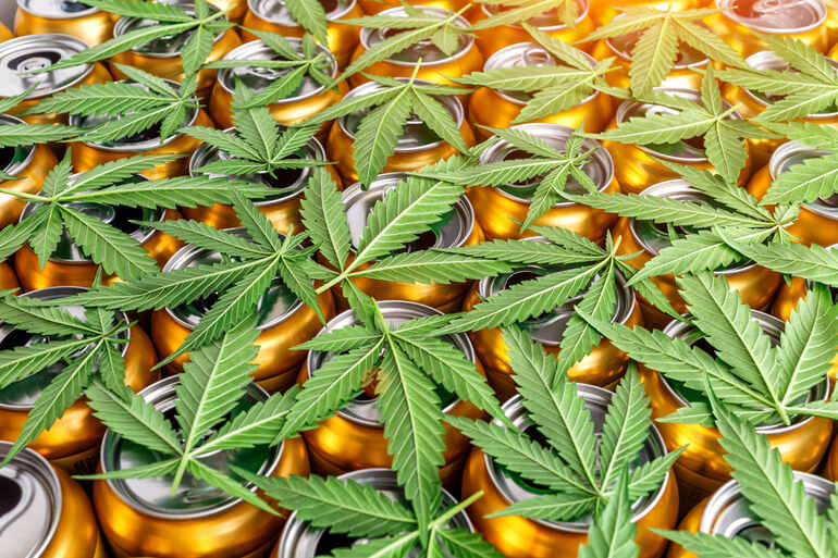 Exploring the Buzz: How Hemp-Infused Seltzers Are Shaping the Future of Drinking