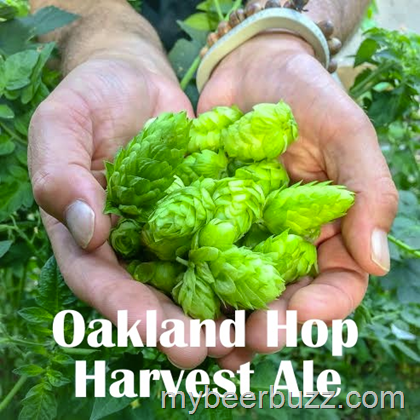 Bison Releases Oakland Hop Harvest Ale
