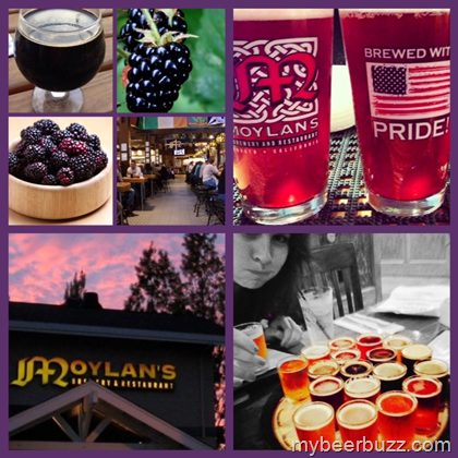 Moylans – Plum Saison, Imperial Stout w/Blackberries & Pomegranate Wheat Available Now