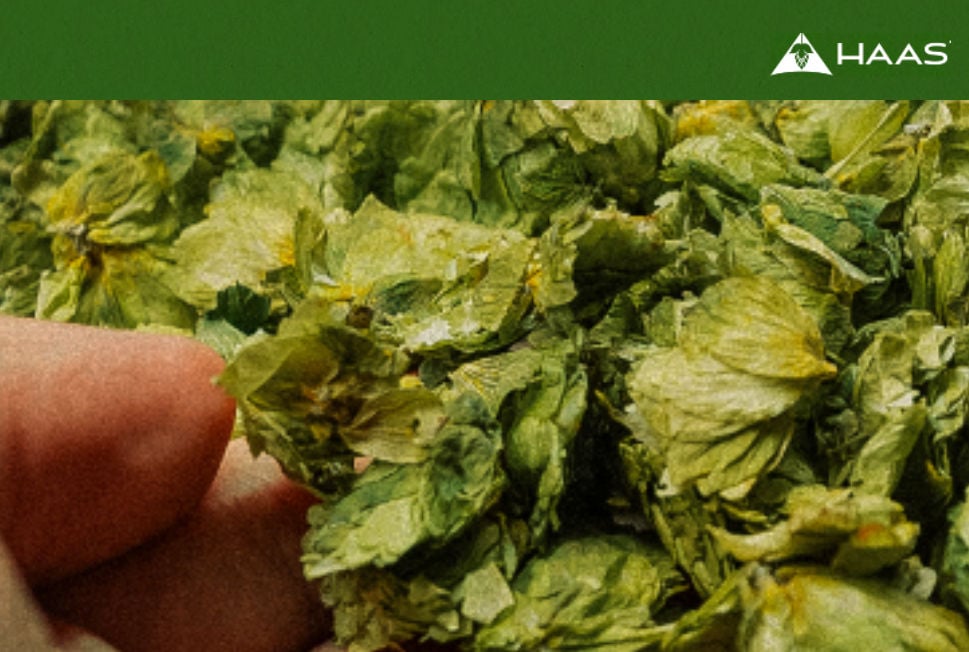 John I. Haas Introduces 2025 Michael Jackson Foundation Hop Blend