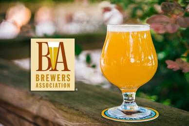 Call for Nominations: 2025 Brewers Association Board of Directors Election
