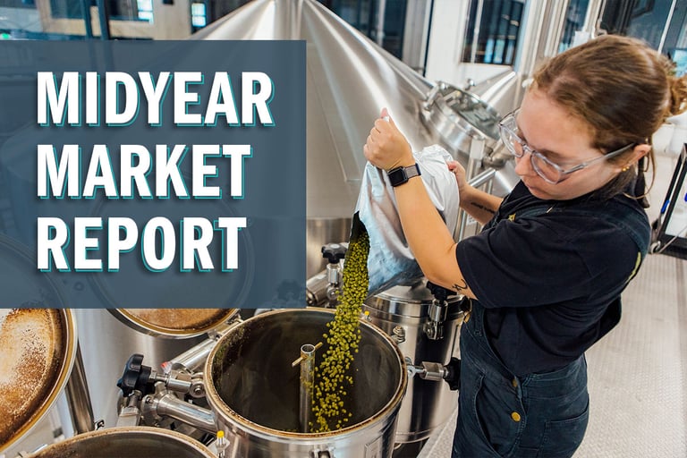 Brewers Association 2025 Midyear Market Report