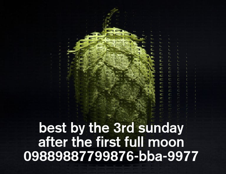 Mybeebuzz Logo Best By