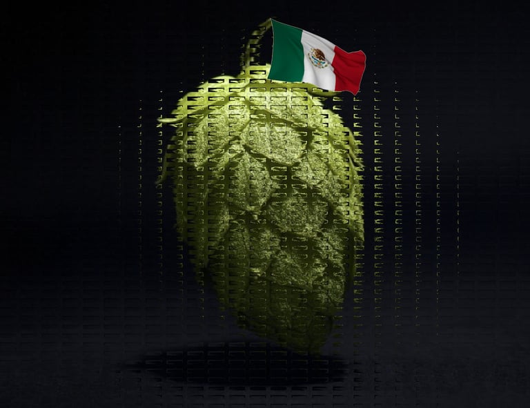 Mybeerbuzz.com Mexican Lager Logo