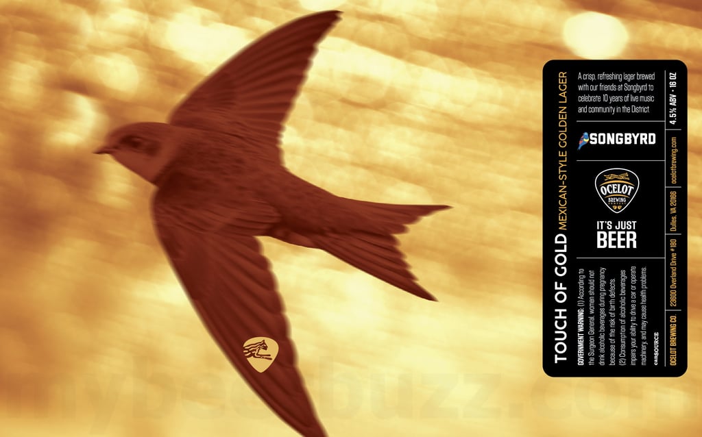 Ocelot Brewing & Songbyrd Celebrate a Decade of Live Music in the District with Touch of Gold