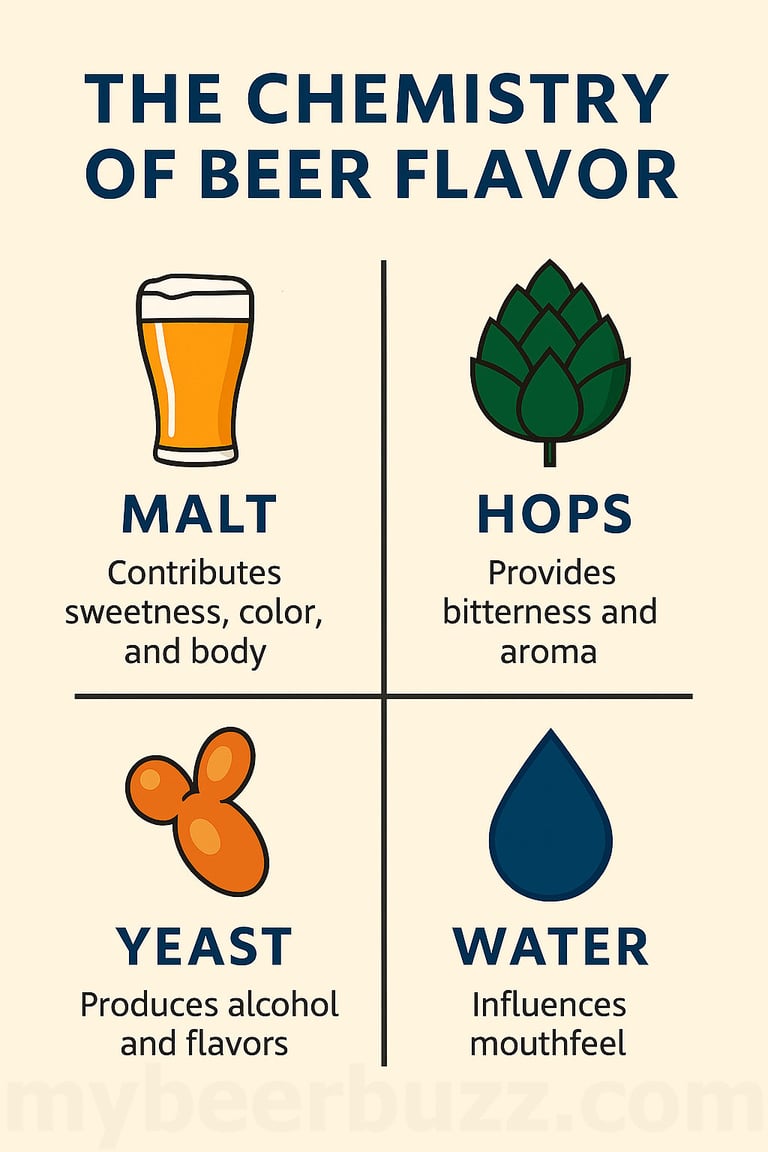 The Chemistry Of Beer Flavor