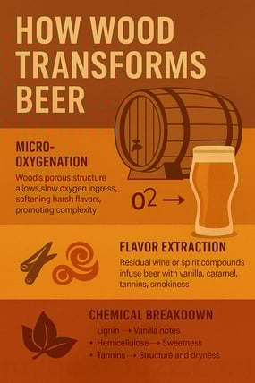 How Wood Transforms Beer