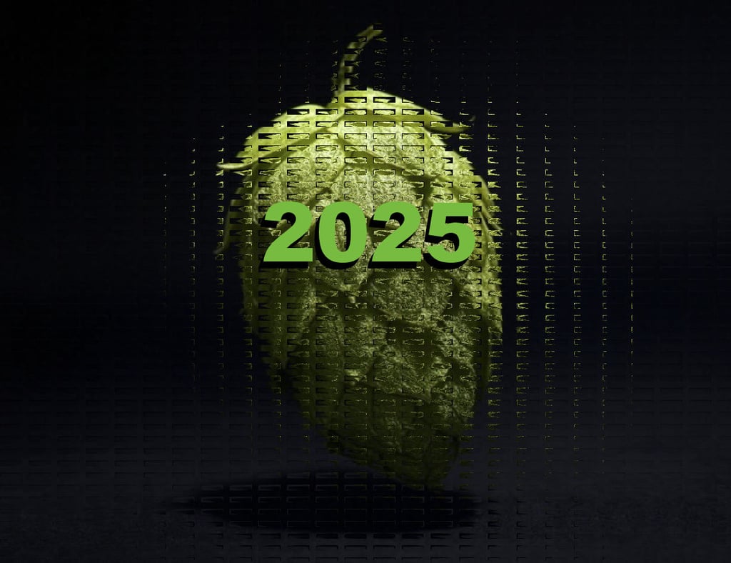 The Most Popular MyBeerBuzz.com Posts of 2025: A Comprehensive Roundup for Craft Beer Fans