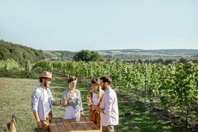 How To Have An Unforgettable Wine Tour