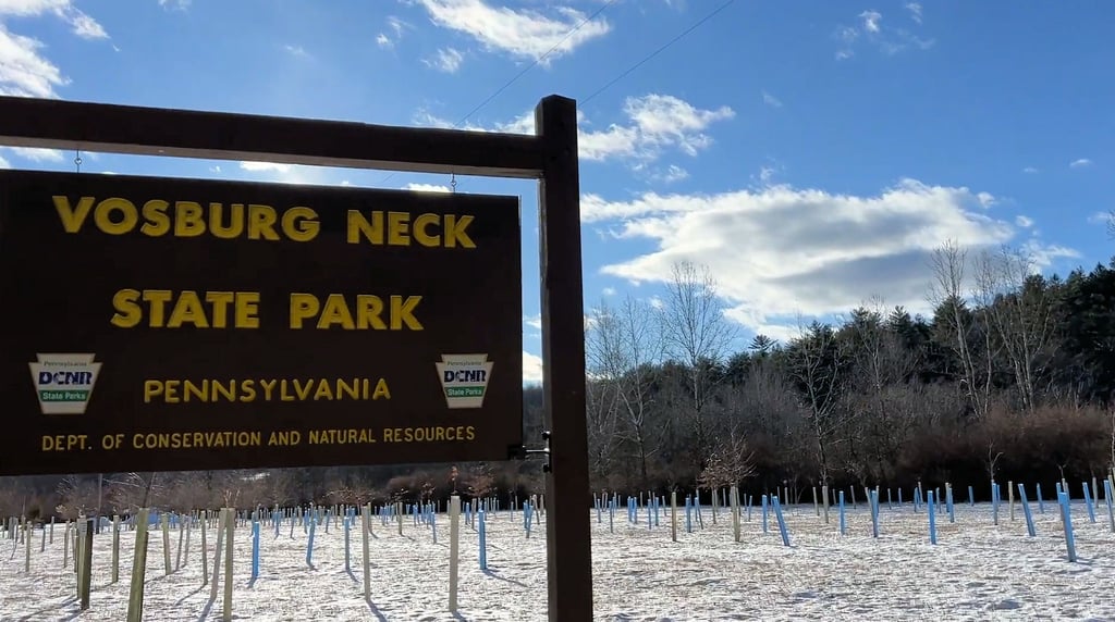 Vosburg Neck State Park: Snowy Winter Hike on the Vista Trail with Great Views and total PA vibes!