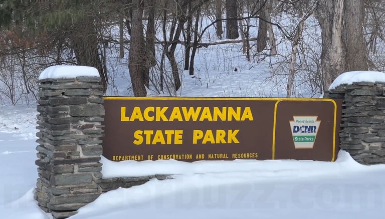 Carolyn Outside Lackawanna State Park