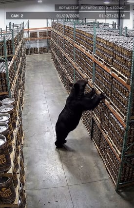 2026 Nature Calls: Breakside Brewery’s Bear Scat Lager