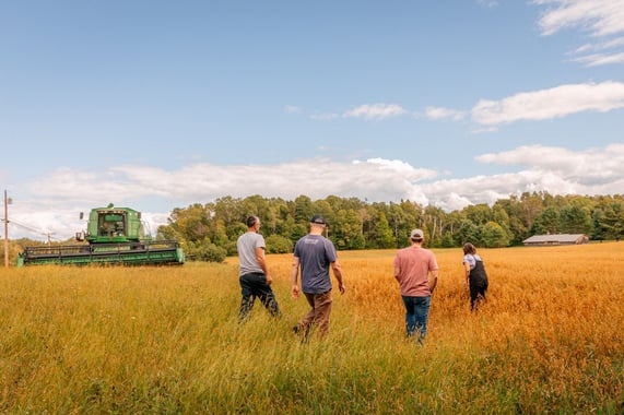 Allagash Brewing Uses More Than Two Million Pounds of Maine-Grown Grain