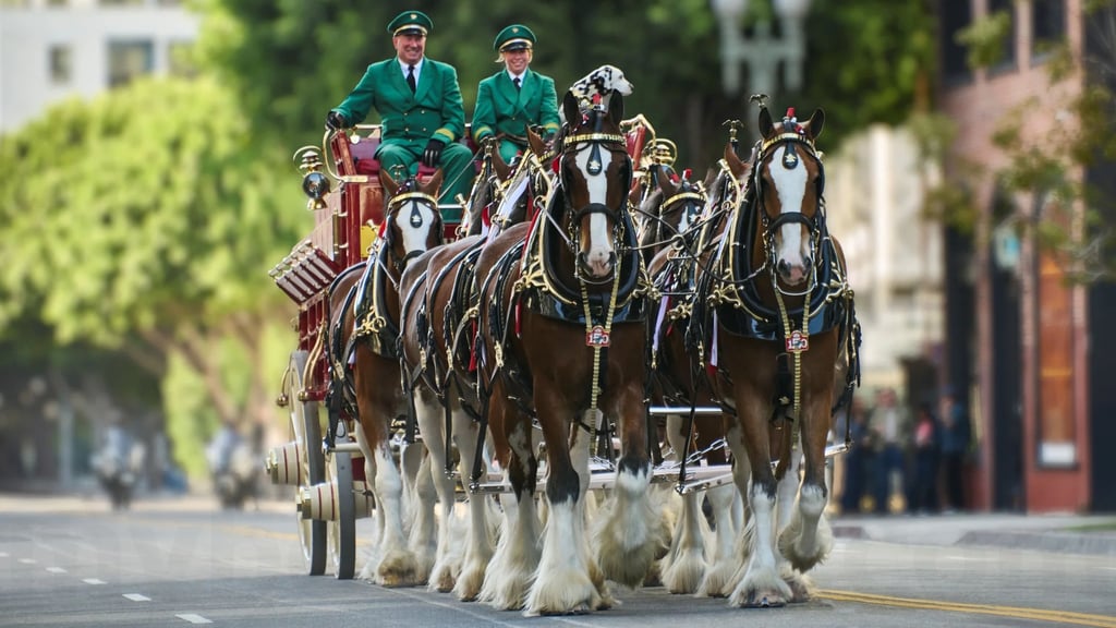 Budweiser Celebrates Its 150th Anniversary and America’s 250th Birthday with an American Summer Campaign Bringing Its Storied Legacy to Life Nationwide
