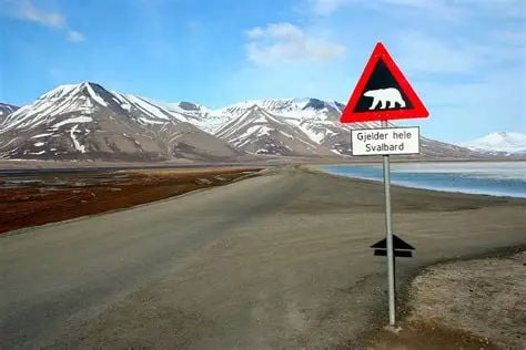 Svalbard Polar Bear Sign