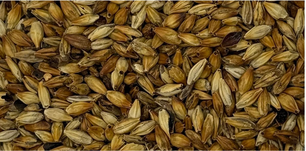 Riverbend Malt House Crystal 80 Malt Is Now Available